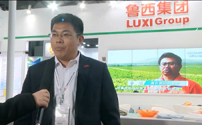 鲁西化工集团国际化肥第二分公司 总监 王洪杰