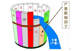  小麦平均增产14%，高产就用尤美特佳