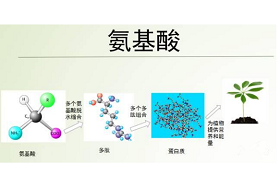 【种植】神奇的聚天门冬氨酸在农业上的多种用途