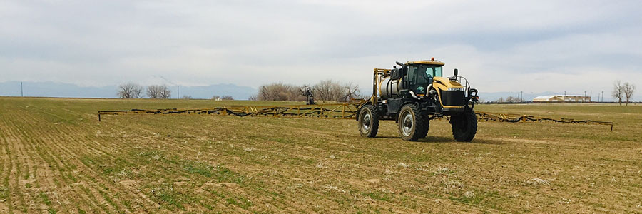 SpringFertilizer_900x300.jpg